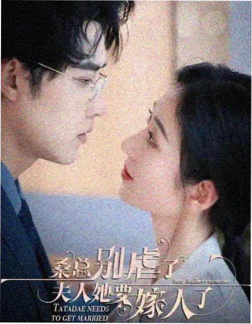 《沉默的真相》剧集封面